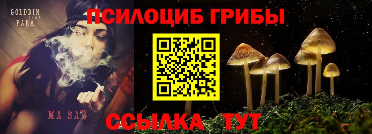Киреевск  Псилоцибиновые грибы Cubensis  Галлюциногенные грибы GOLDEN TEACHER  цена   Вход с VPN 